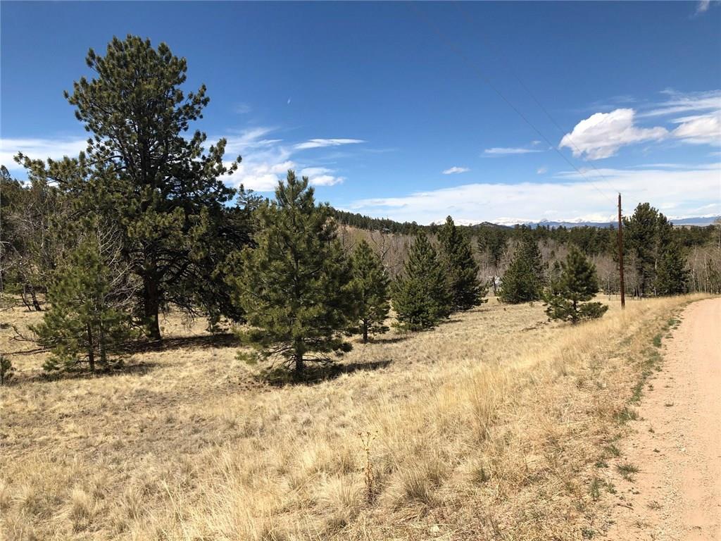 10380 Ranch Road Hartsel, CO 80449 - Photo 10 of 18 a view of a dry yard with a tree