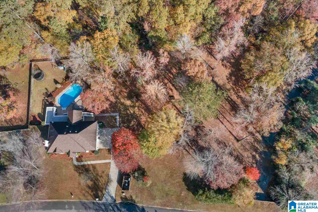 4512 Little Ridge Drive Birmingham, AL 35242 - Photo 46 of 46