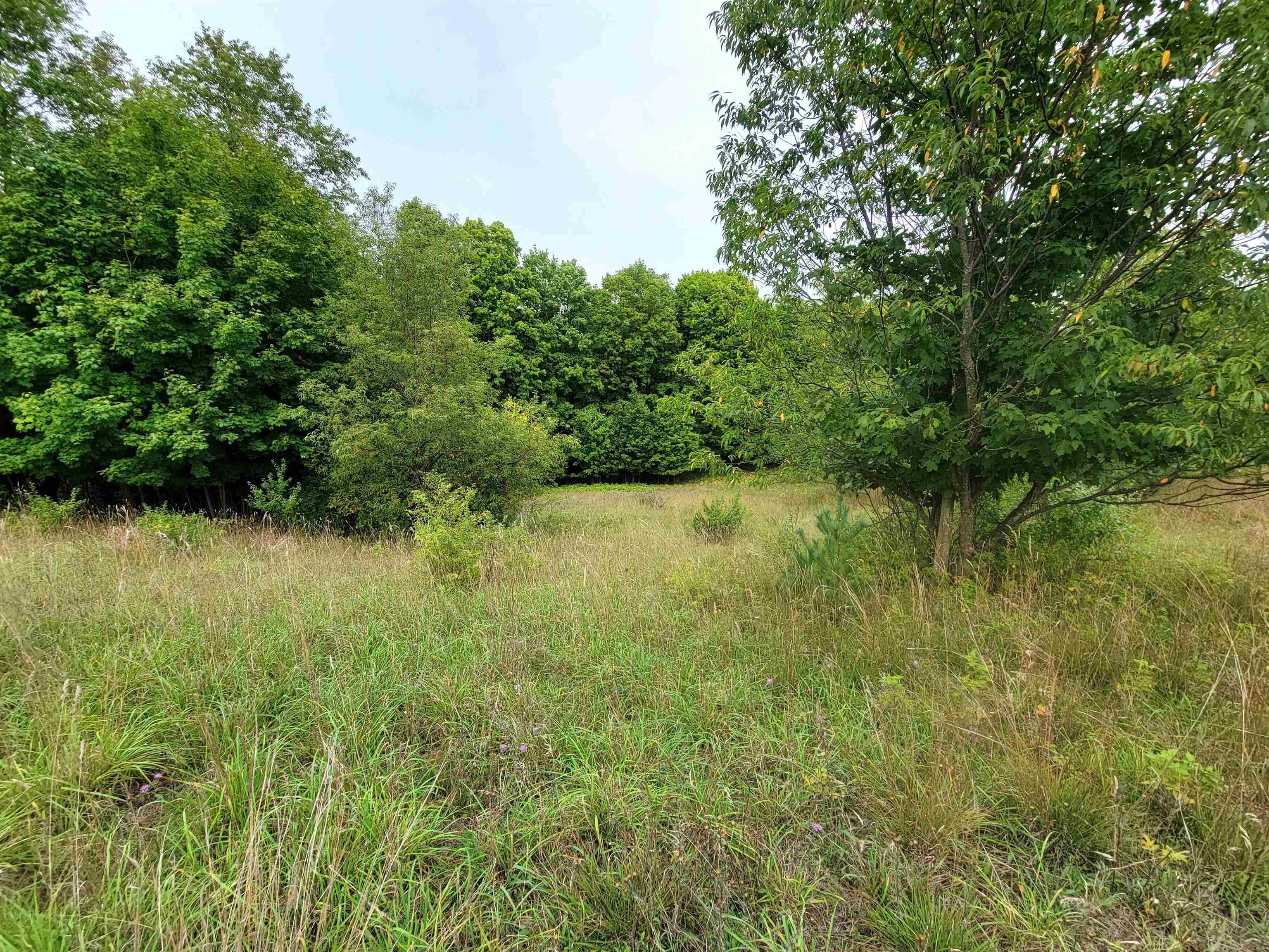 0 Plum Valley Road Northwest Alden, MI 49612 - Photo 17 of 18