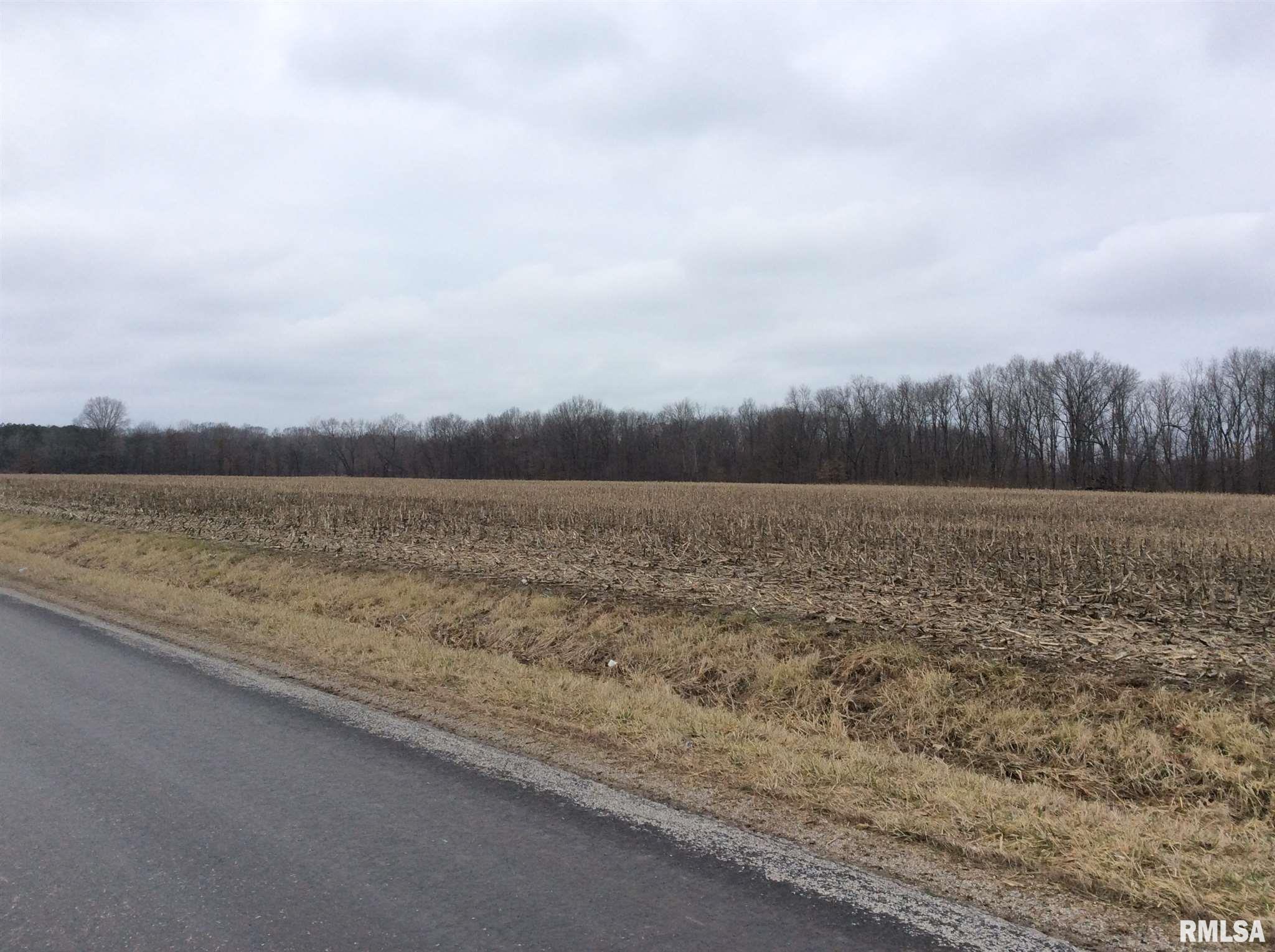 Kell Road Iuka, IL 62849 - Photo 1 of 14
