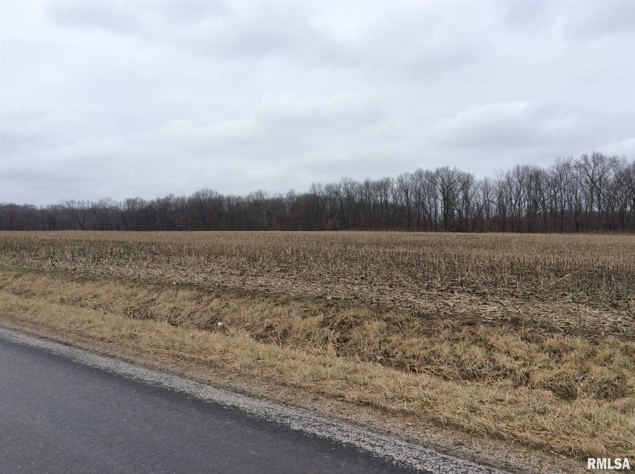 Kell Road Iuka, IL 62849 - Photo 11 of 14