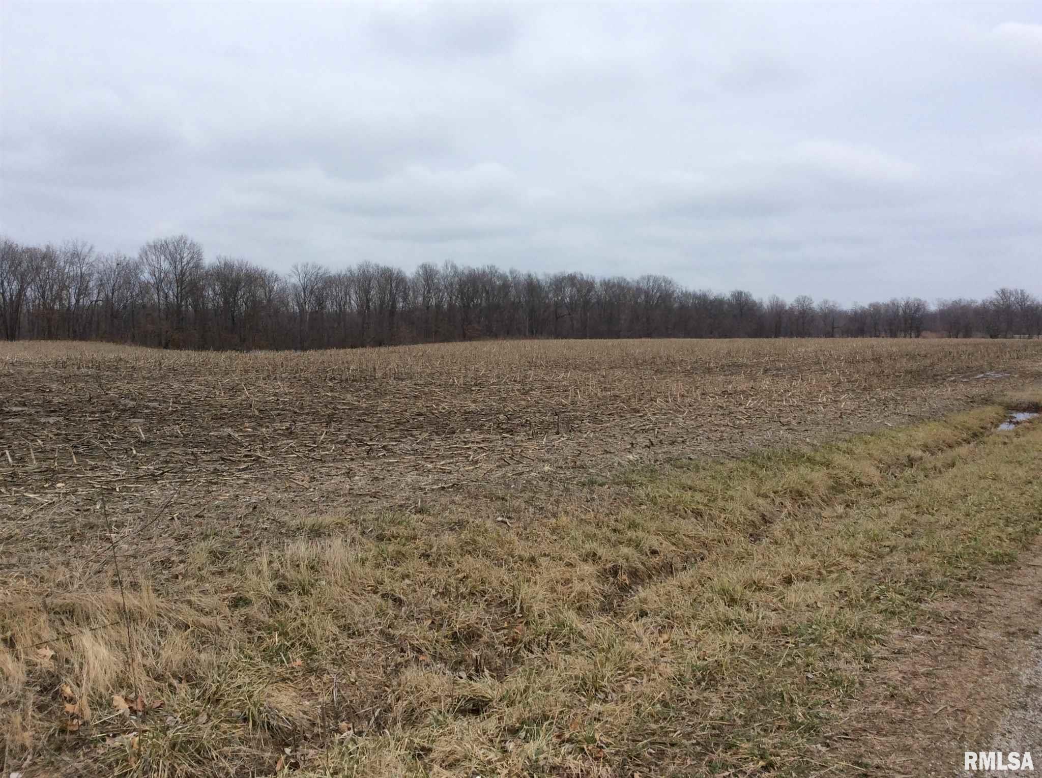 Kell Road Iuka, IL 62849 - Photo 12 of 14