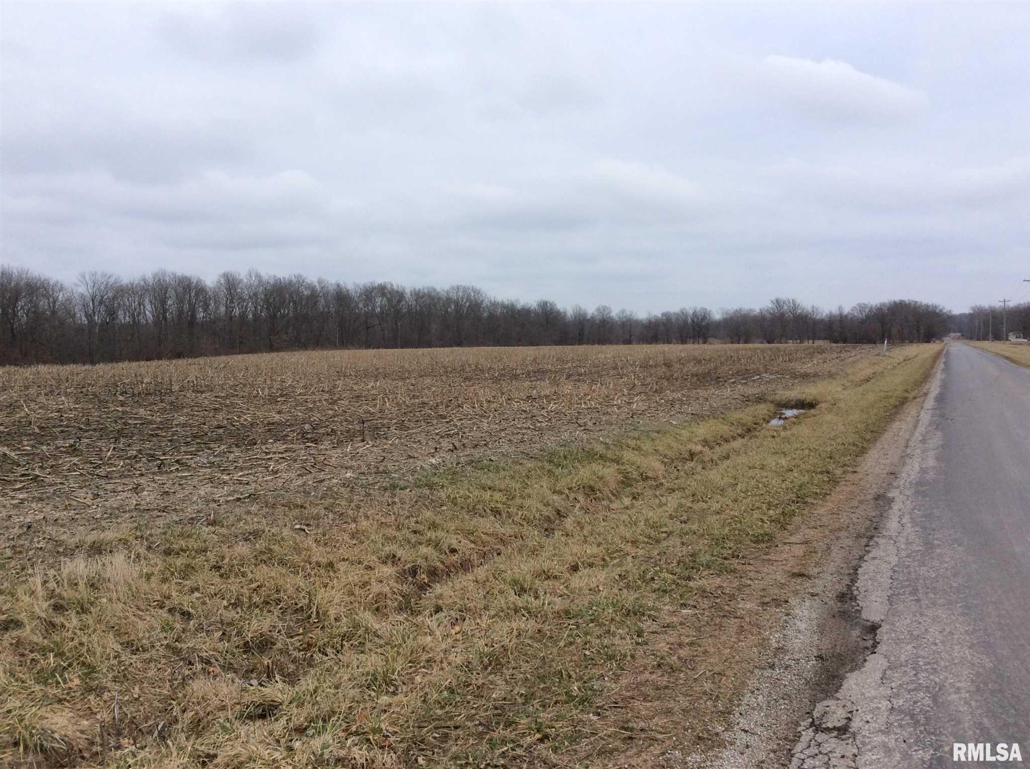 Kell Road Iuka, IL 62849 - Photo 13 of 14