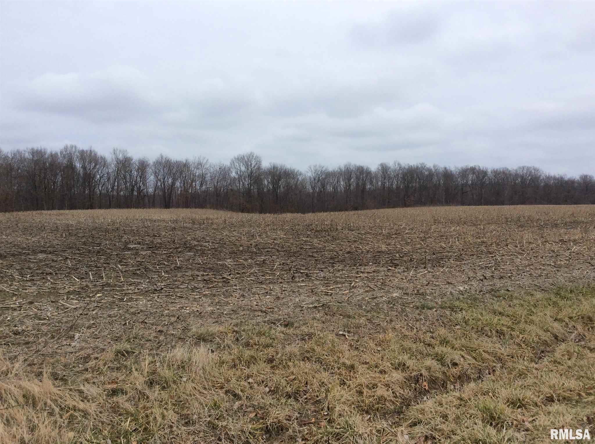 Kell Road Iuka, IL 62849 - Photo 14 of 14