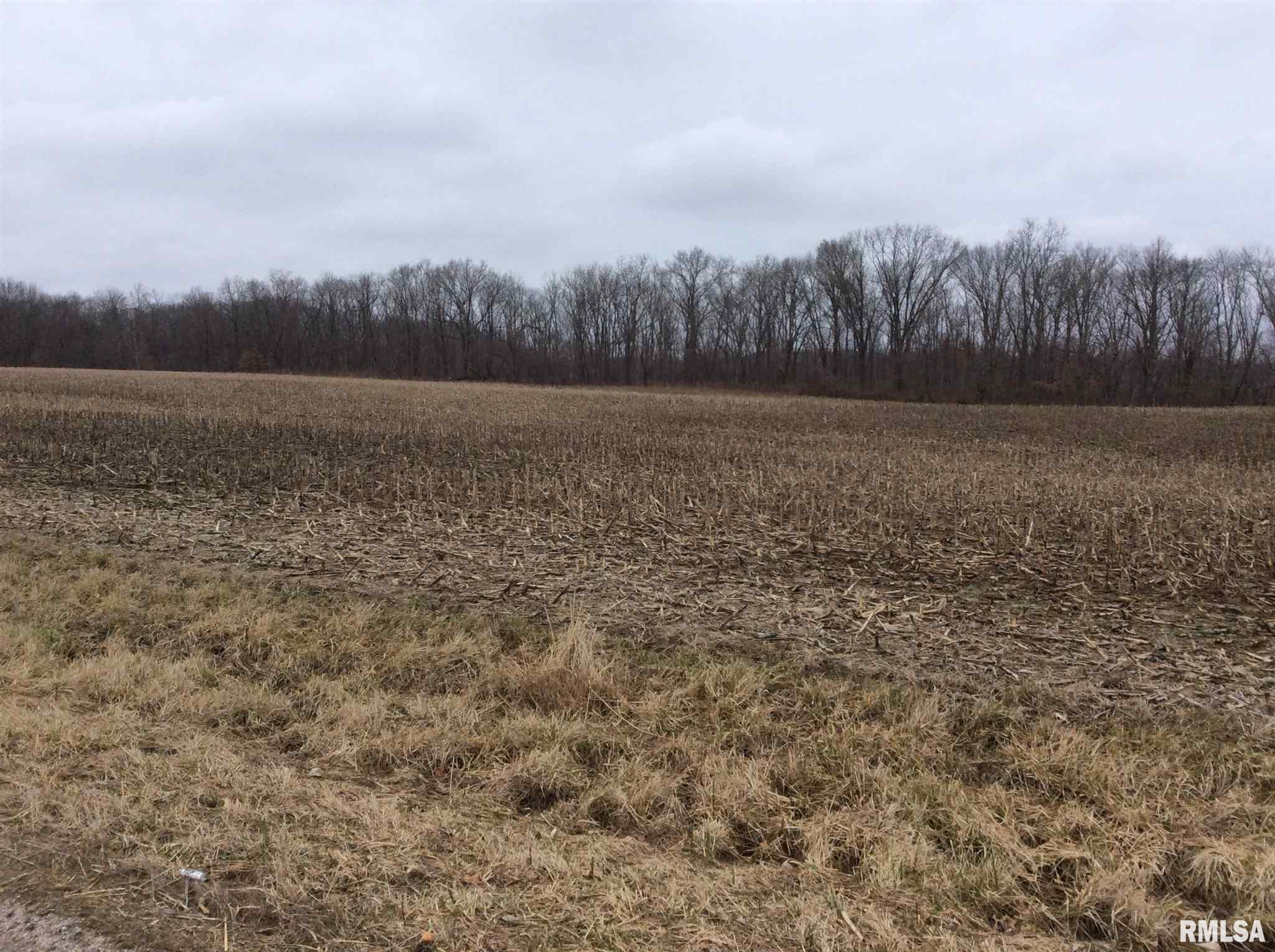 Kell Road Iuka, IL 62849 - Photo 2 of 14
