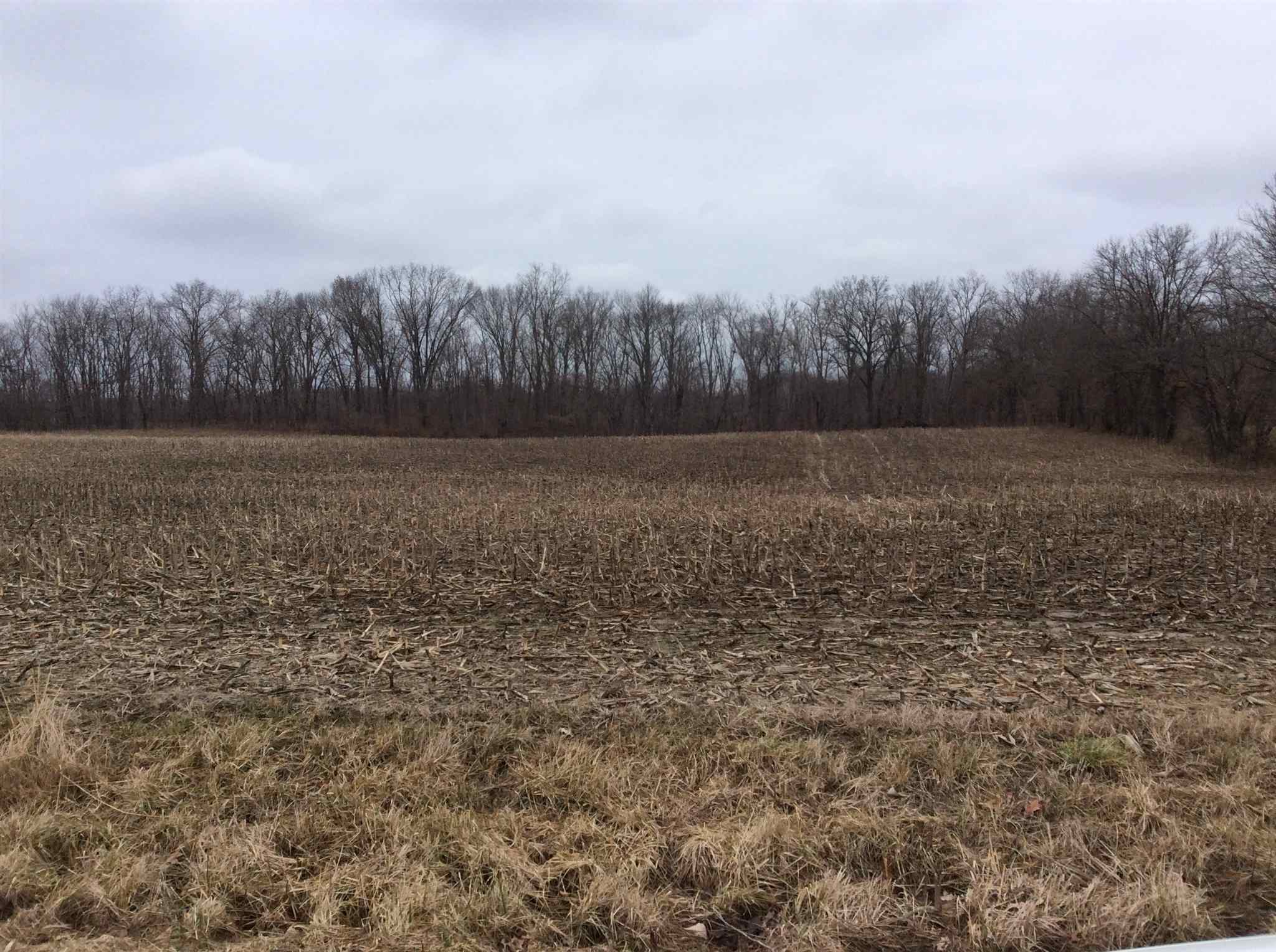Kell Road Iuka, IL 62849 - Photo 3 of 14