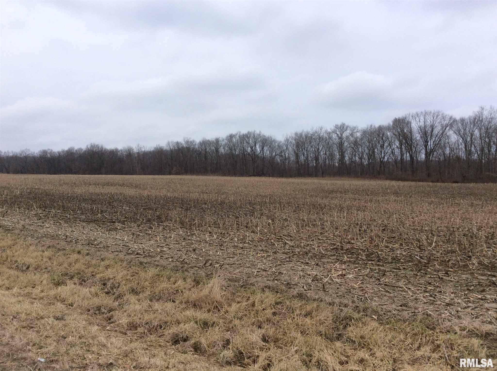 Kell Road Iuka, IL 62849 - Photo 4 of 14