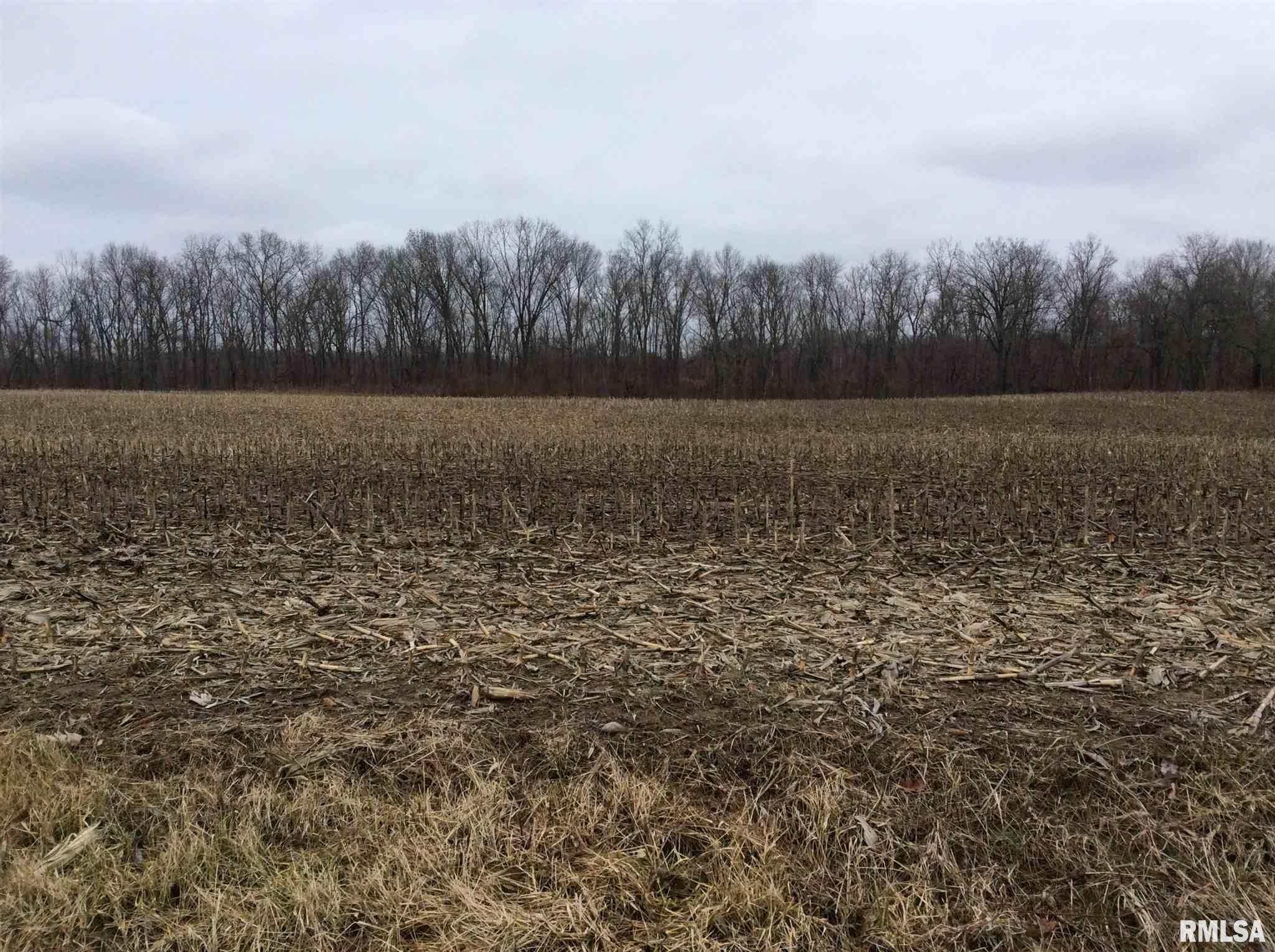 Kell Road Iuka, IL 62849 - Photo 5 of 14