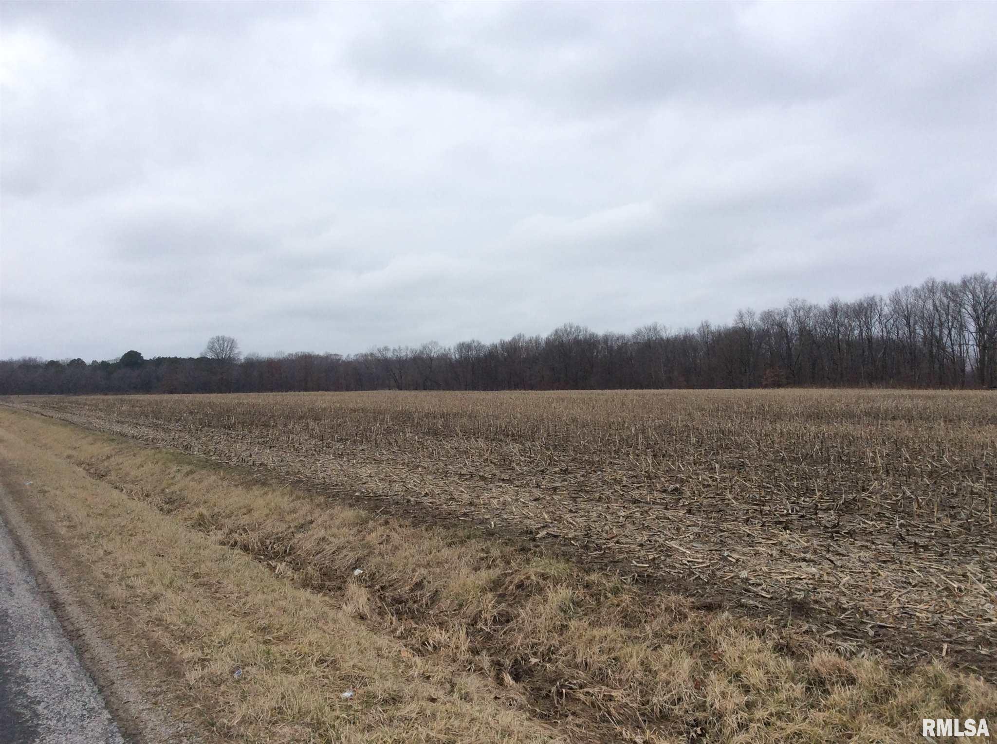 Kell Road Iuka, IL 62849 - Photo 6 of 14