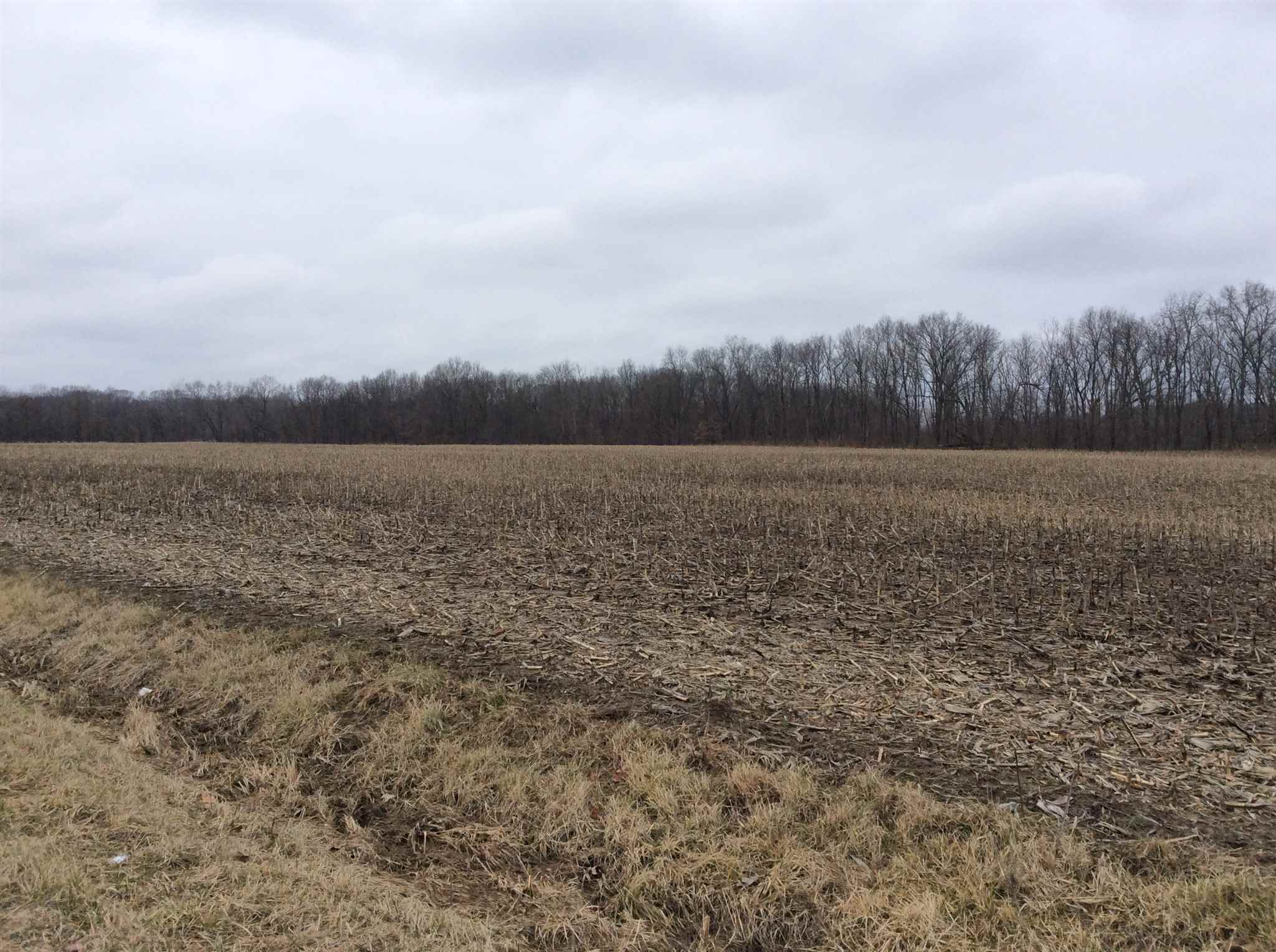 Kell Road Iuka, IL 62849 - Photo 7 of 14