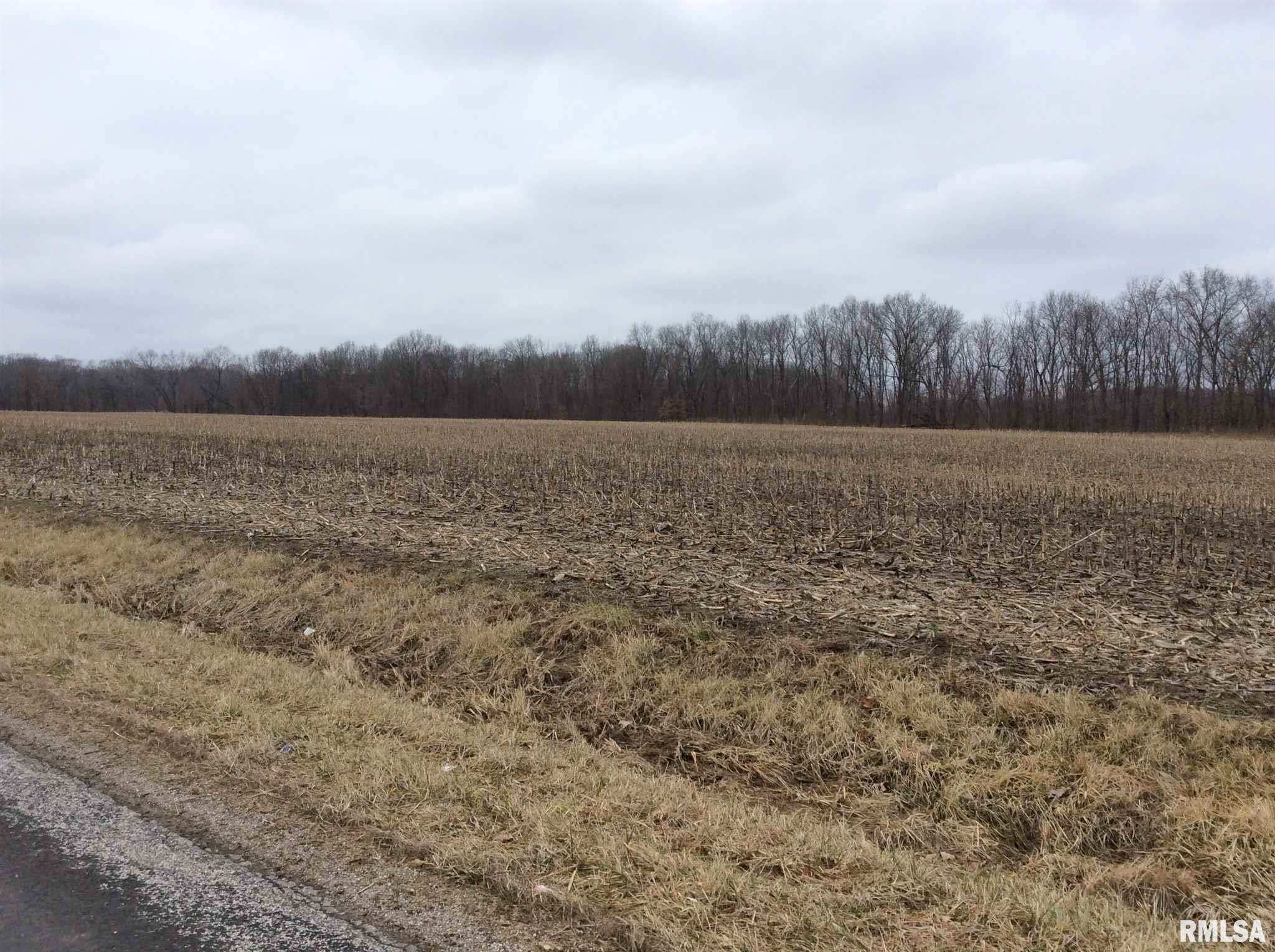Kell Road Iuka, IL 62849 - Photo 8 of 14