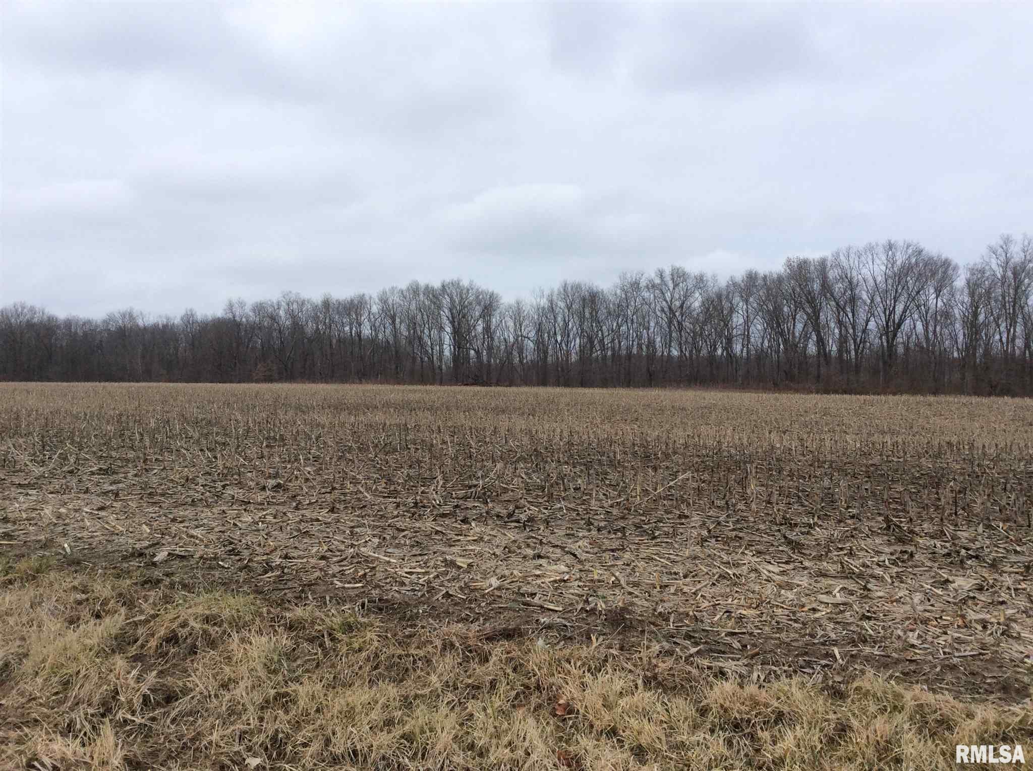 Kell Road Iuka, IL 62849 - Photo 9 of 14