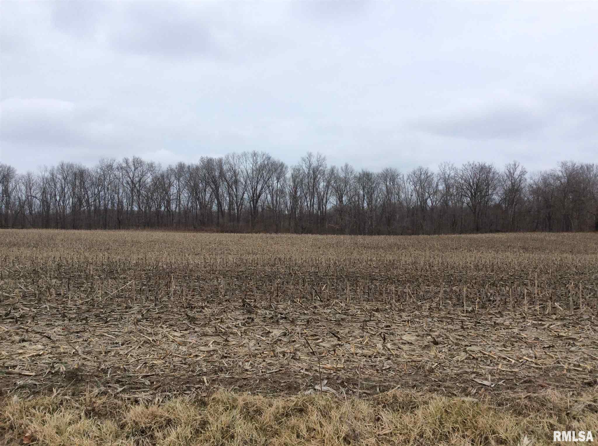 Kell Road Iuka, IL 62849 - Photo 10 of 14