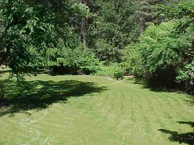 19425 North Holcomb Road Mead, WA 99021 - Photo 8 of 9