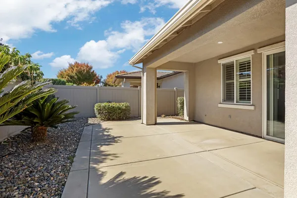 a view of a room with a potted plant
