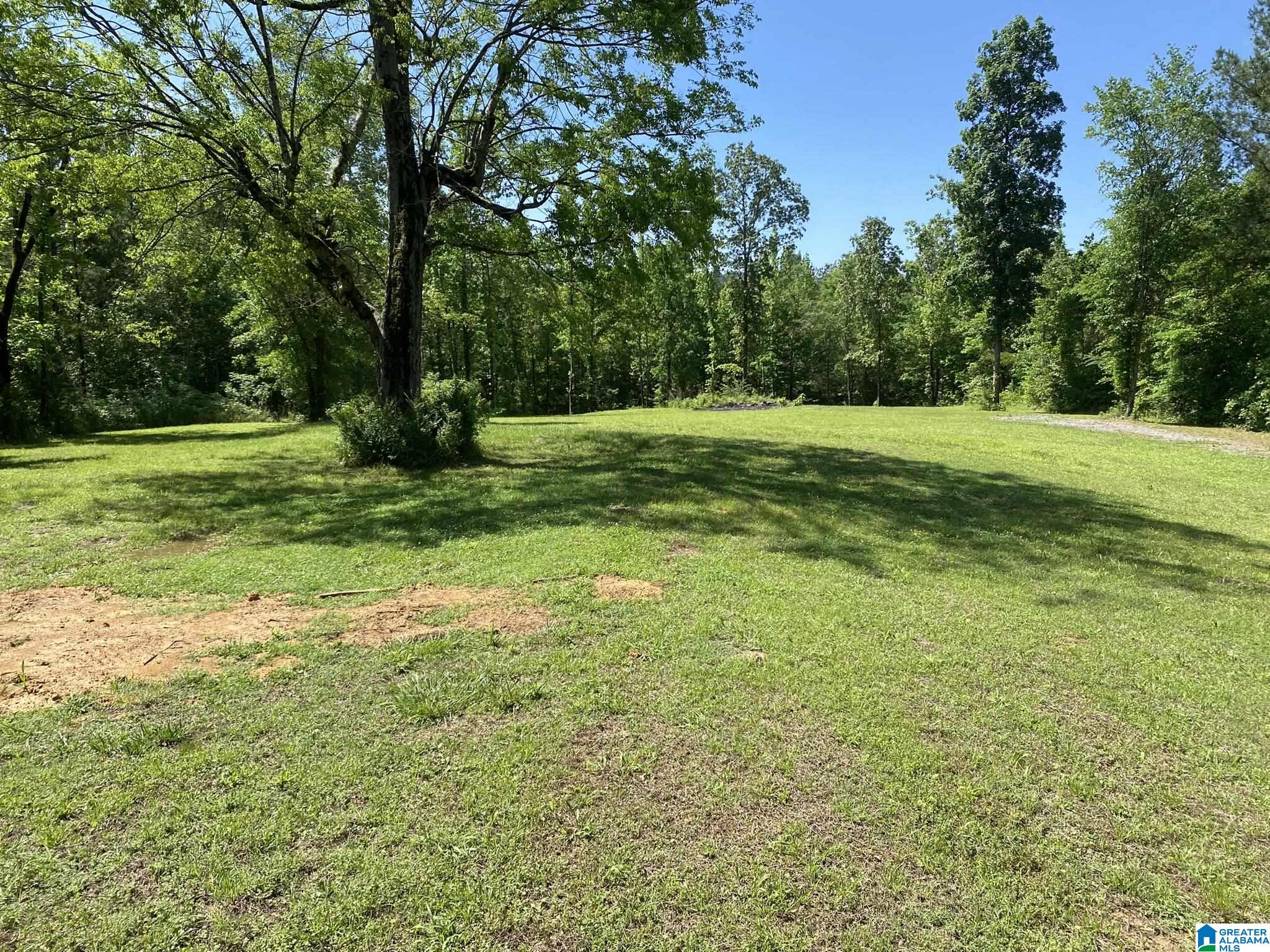 8978 Shoal Creek Road Ashville, AL 35953 - Photo 14 of 32