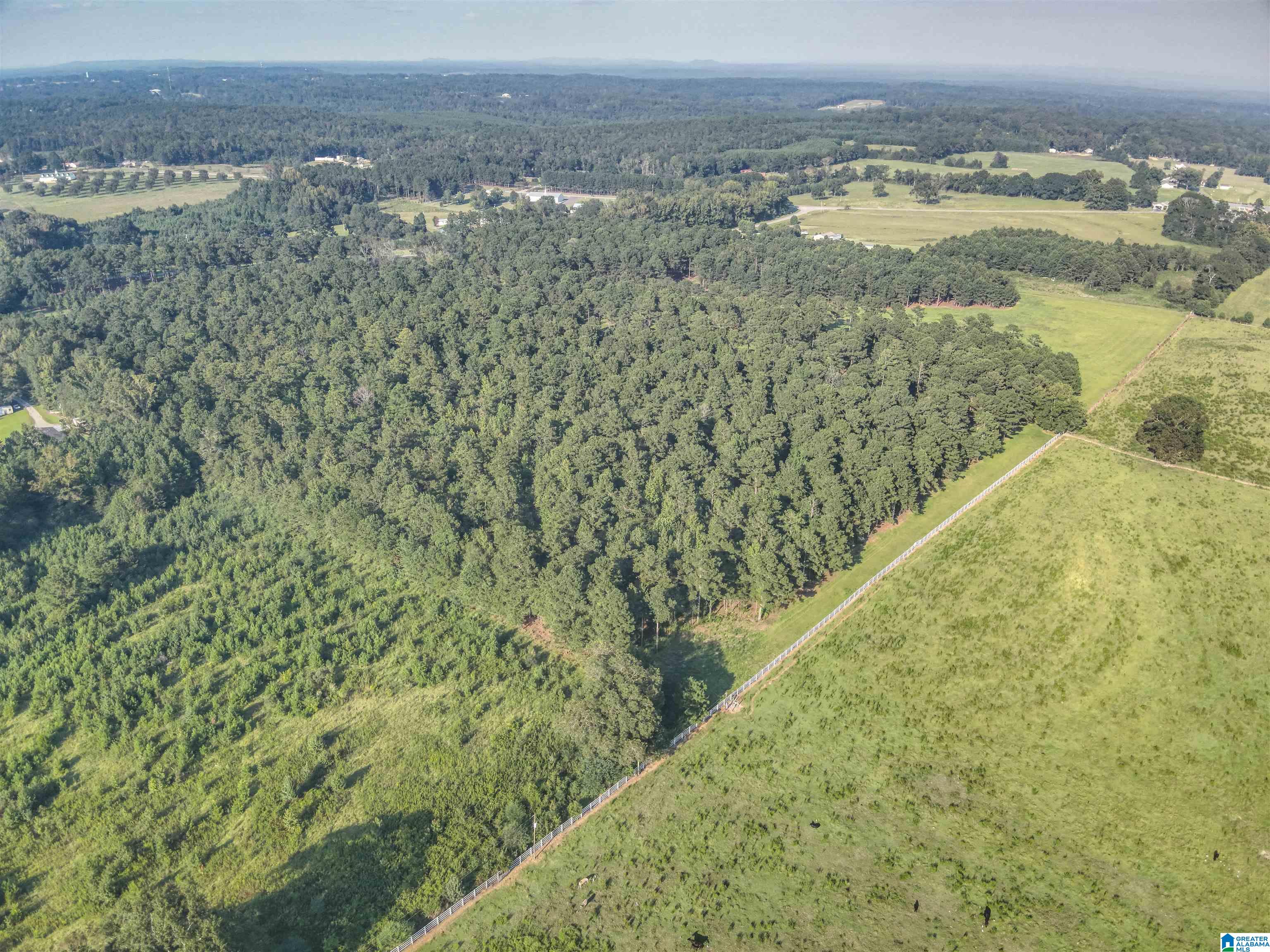 0 County Road 48, Unit 1 Jemison, AL 35085 - Photo 16 of 24