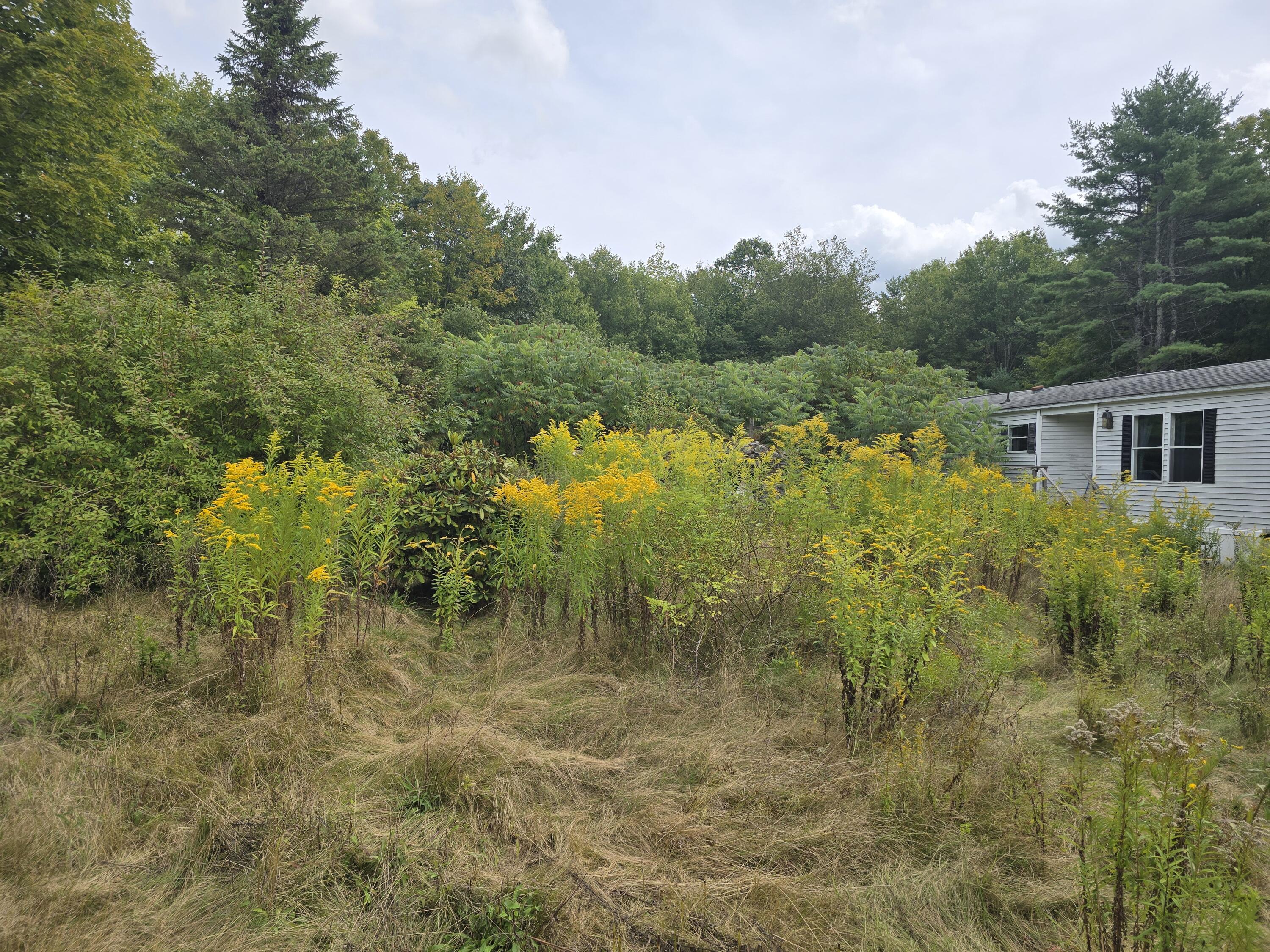 105 Old Sheepscot Road Wiscasset, ME 04578 - Photo 5 of 5 20250908_133348