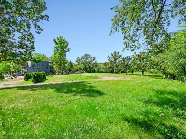 a view of yard with green space