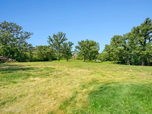 a view of a yard with an outdoor space