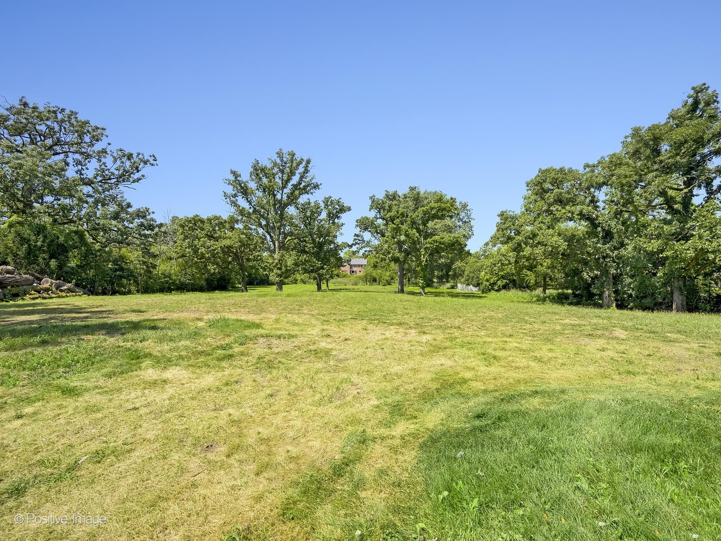 3010 Meyers Road Oak Brook, IL 60523 - Photo 4 of 12 a view of a yard with an outdoor space