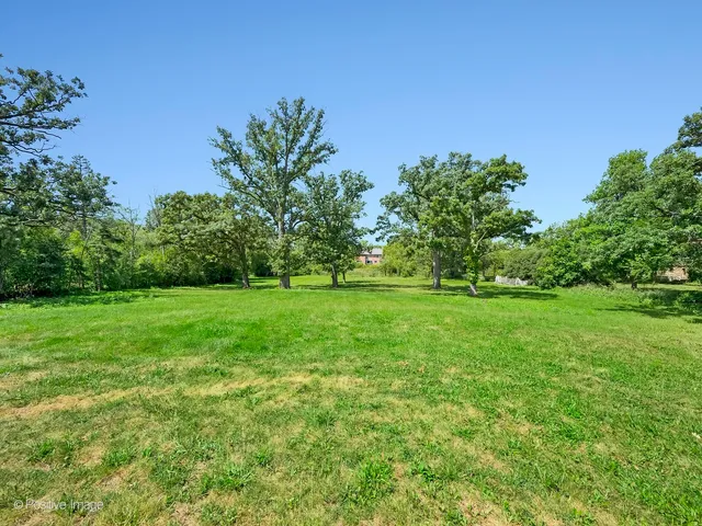 a view of yard with green space