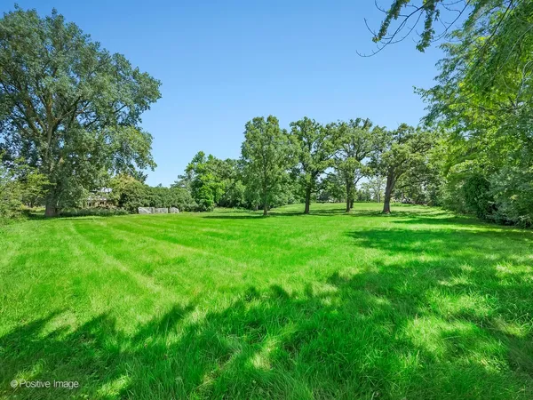 a grassy field with a tree in the background