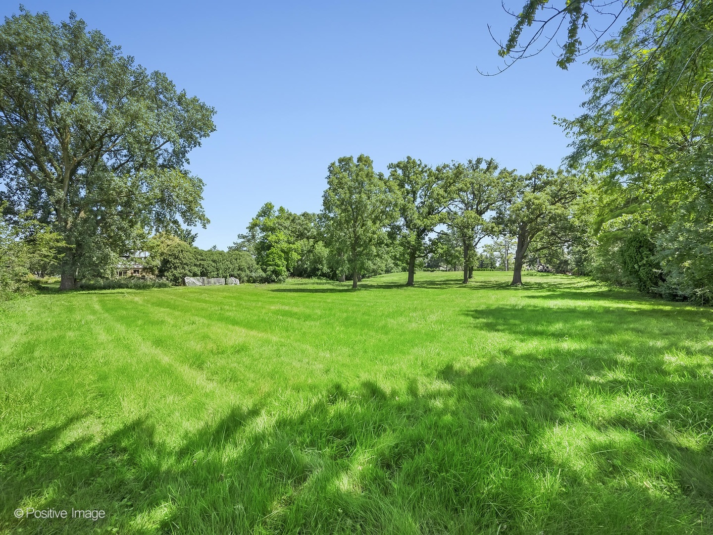 3010 Meyers Road Oak Brook, IL 60523 - Photo 8 of 12 a grassy field with a tree in the background