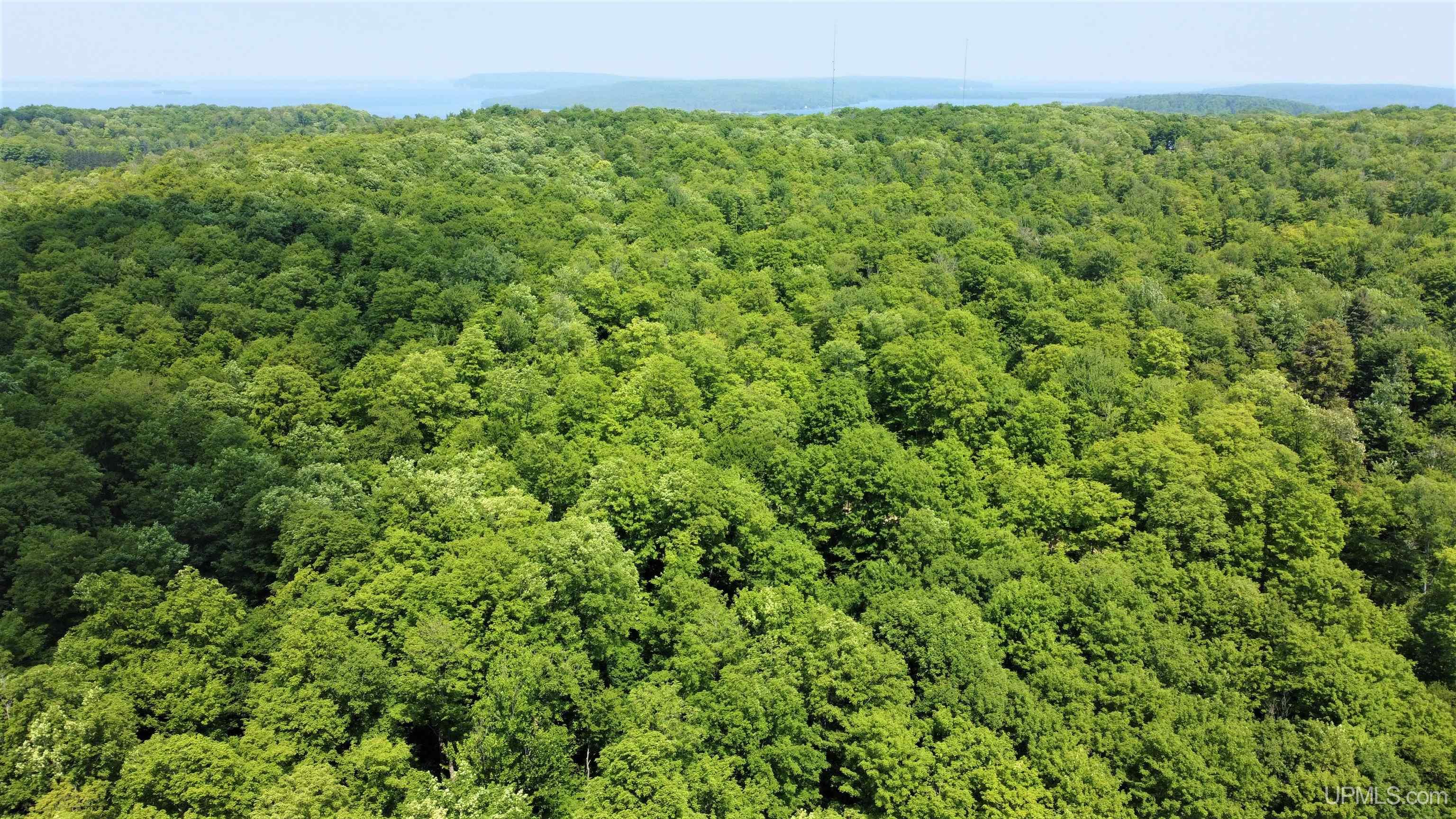 On Gage Road Munising, MI 49862 - Photo 10 of 17