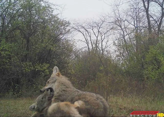 $235,000 | Il Route 26 N, Freeport, IL 61032