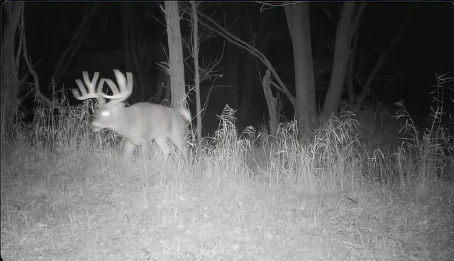 $235,000 | Il Route 26 N, Freeport, IL 61032