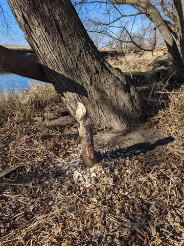 $235,000 | Il Route 26 N, Freeport, IL 61032