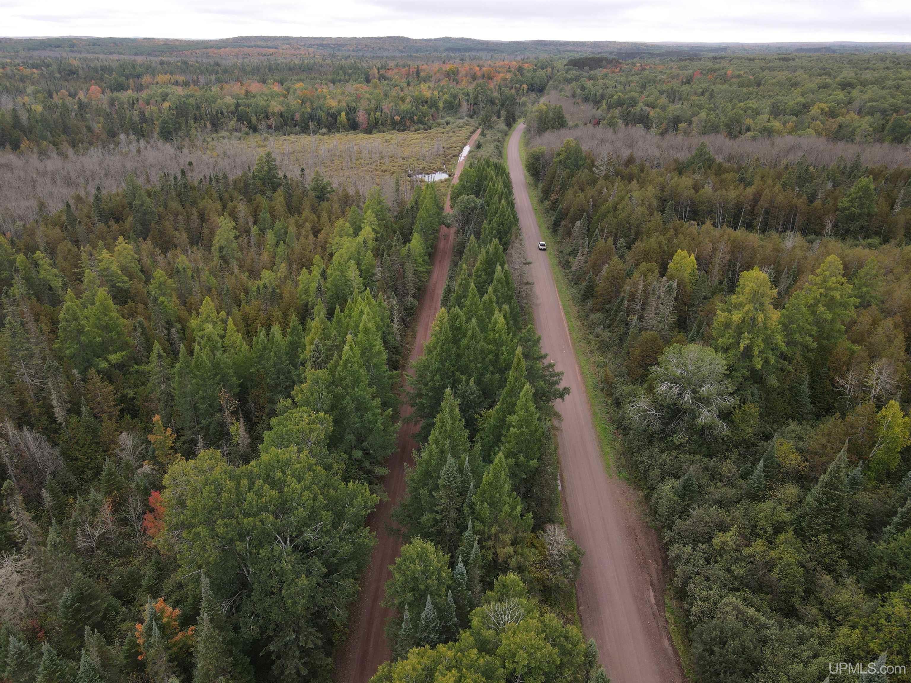 On Dunham Road Marenisco, MI 49947 - Photo 46 of 47