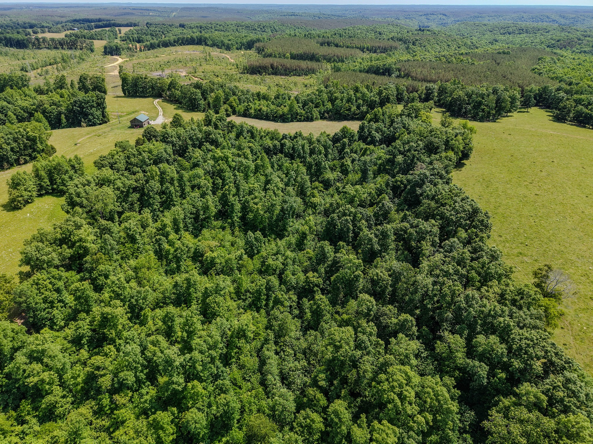 8150 Suckstem Branch Road Lawrenceburg, TN 38464 - Photo 38 of 40