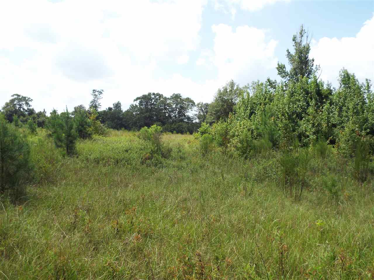 0 Cotton Road Flomaton, AL 36441 - Photo 1 of 6 Gallery Image 1