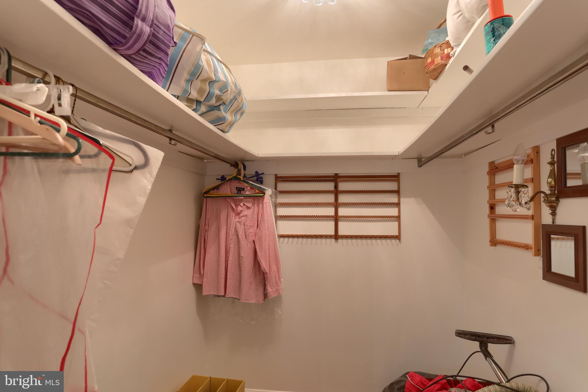 280 Nye Road Hershey, PA 17033 - Photo 29 of 50 Walk-in closet.