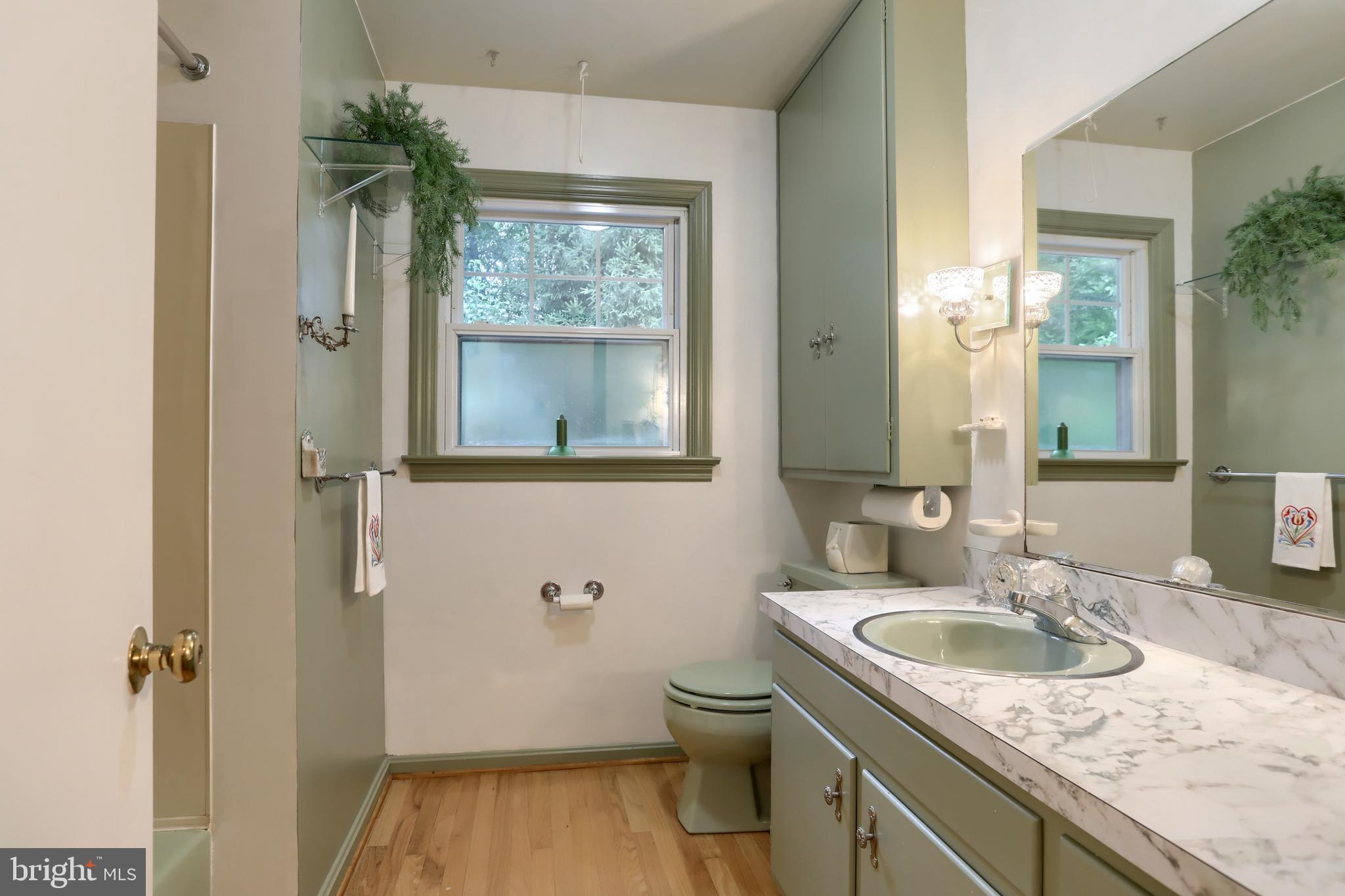 280 Nye Road Hershey, PA 17033 - Photo 34 of 50 Bath upstairs.