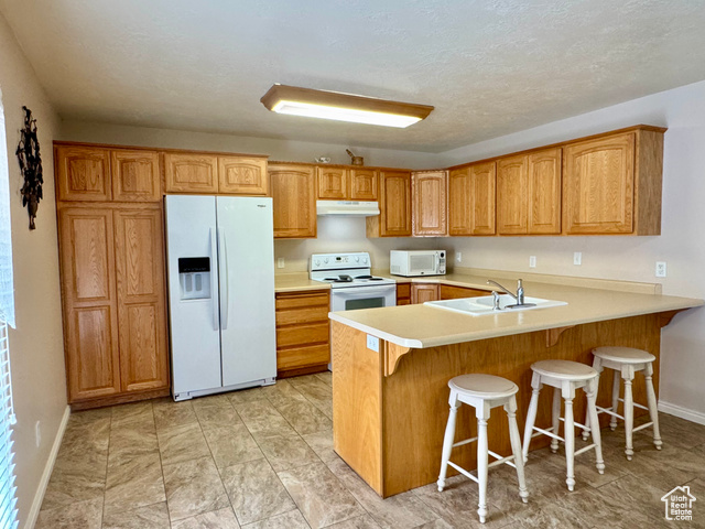 445 Topaz Boulevard, Unit 10 Delta, UT 84624 - Photo 2 of 28 Kitchen featuring white appliances, a sink, under cabinet range hood, and baseboards