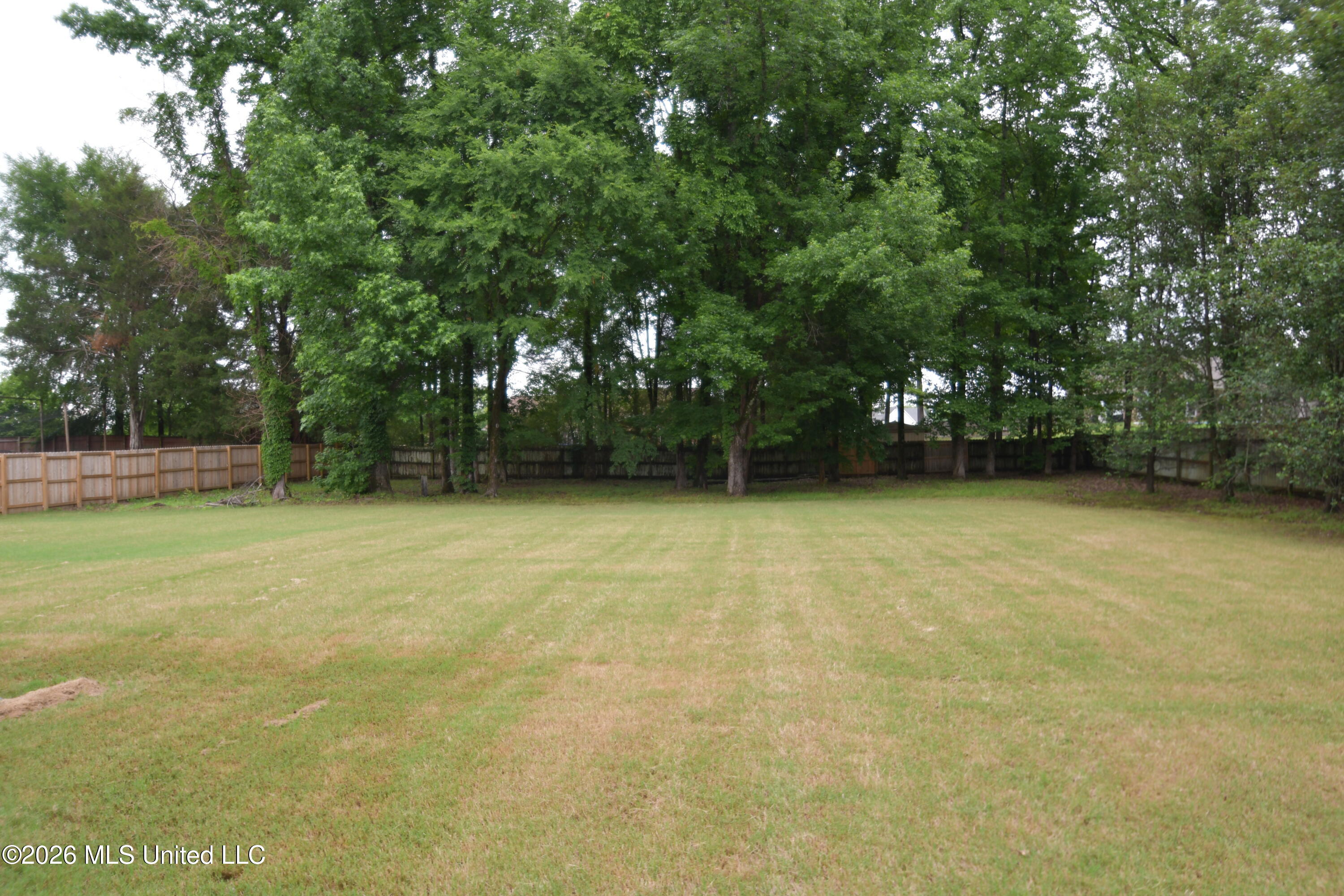 616 Ridge View Drive Hernando, MS 38632 - Photo 26 of 27 Huge yard