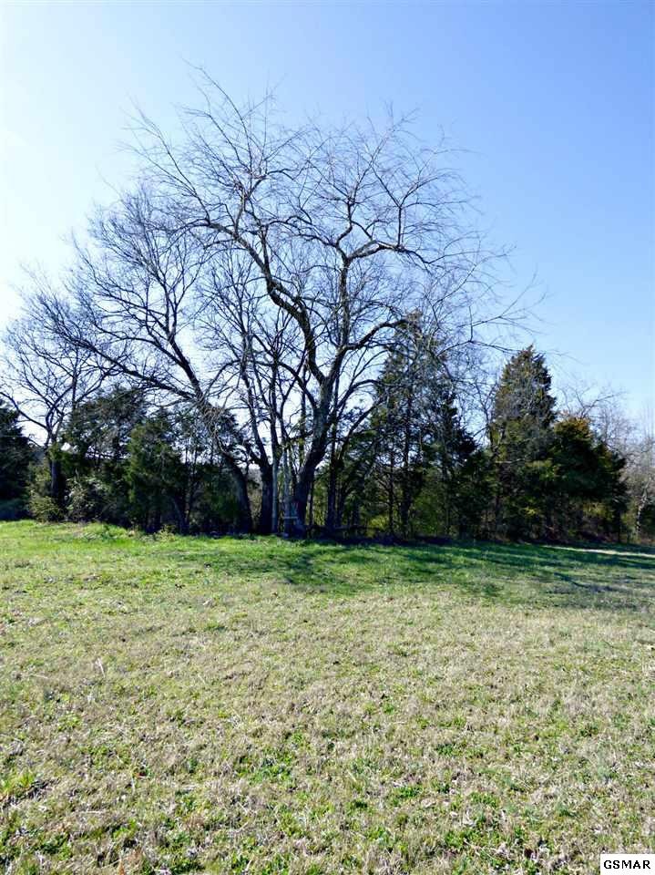 7 Valley Home Road Dandridge, TN 37725 - Photo 3 of 9 Gallery Image 3