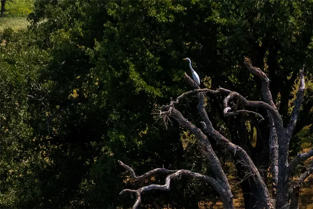 $349,000 | 11733 Winstead Lane, Calvert, TX 77837