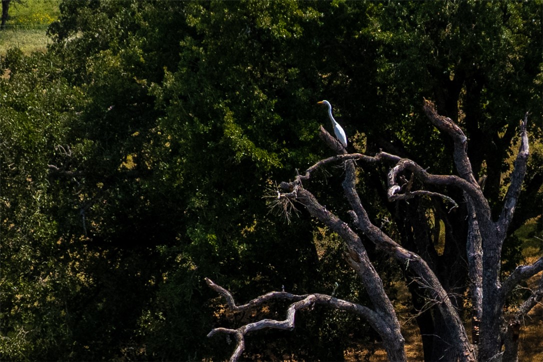 11733 Winstead Lane Calvert, TX 77837 - Photo 25 of 26 Exterior view