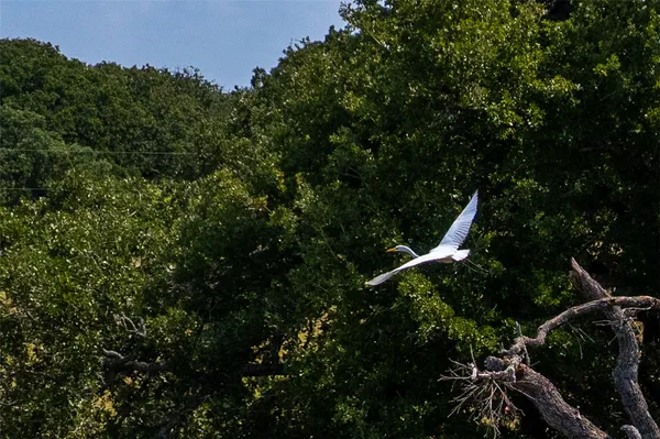 $349,000 | 11733 Winstead Lane, Calvert, TX 77837