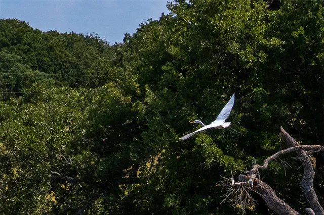 $349,000 | 11733 Winstead Lane, Calvert, TX 77837