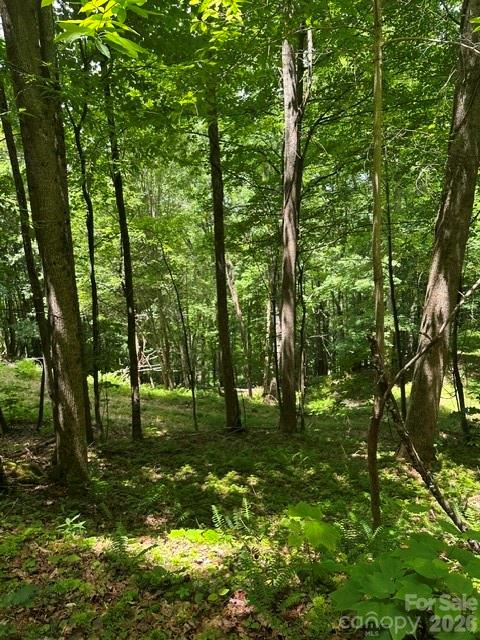 Tbd Mountain Home Road, Unit 2 Banner Elk, NC 28604 - Photo 2 of 3