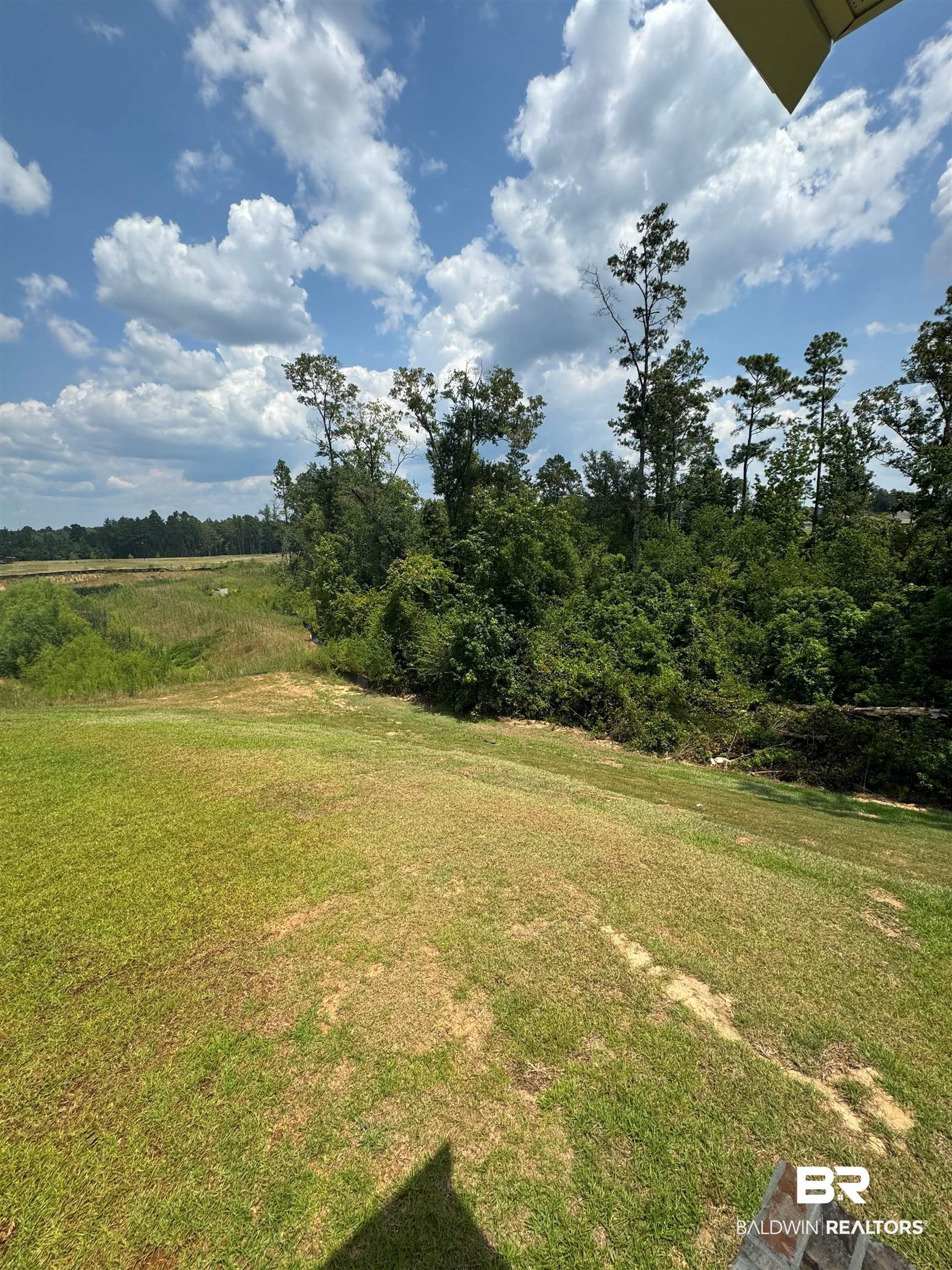 11335 Elemis Drive Daphne, AL 36526 - Photo 5 of 11 View of yard