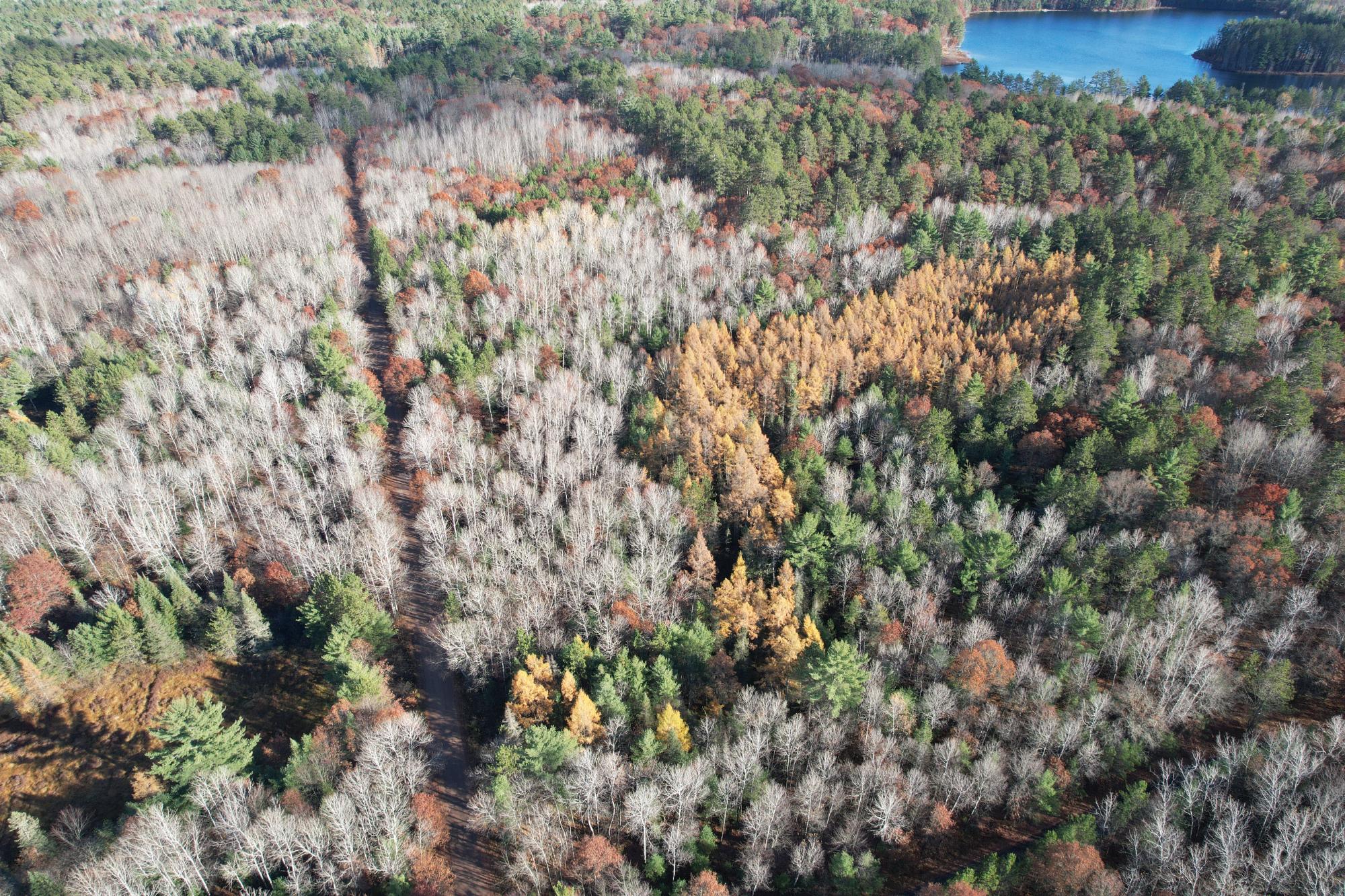 12.51-ac North Star Lake Road Eagle River, WI 54521 - Photo 2 of 7 Gallery Image 2