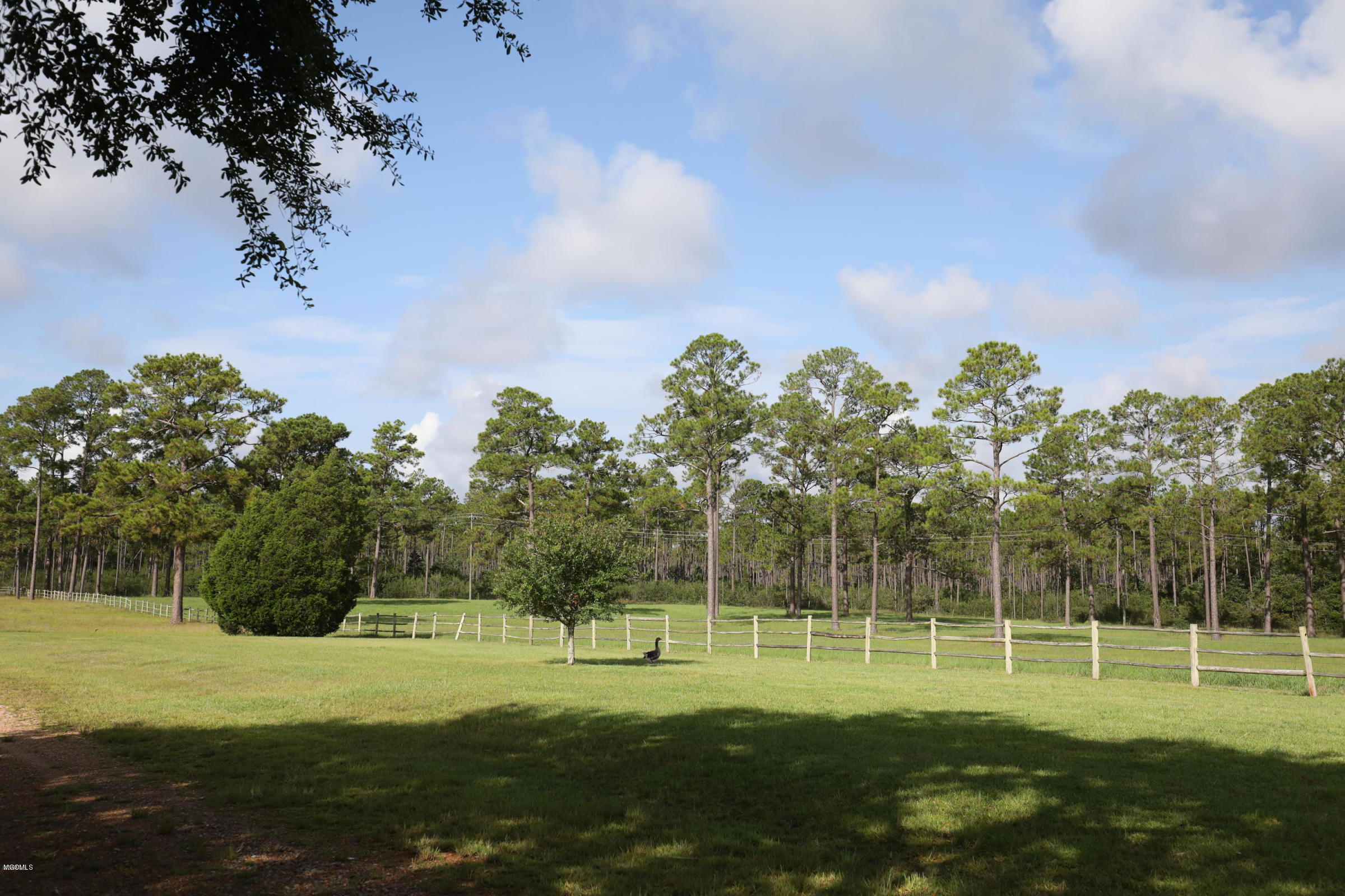 13100 Jim Ramsay Road Ocean Springs, MS 39565 - Photo 40 of 53 front field 2