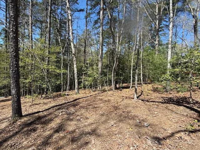 $25,000 | Lot 2 Lynae Lane, Murphy, NC 28906