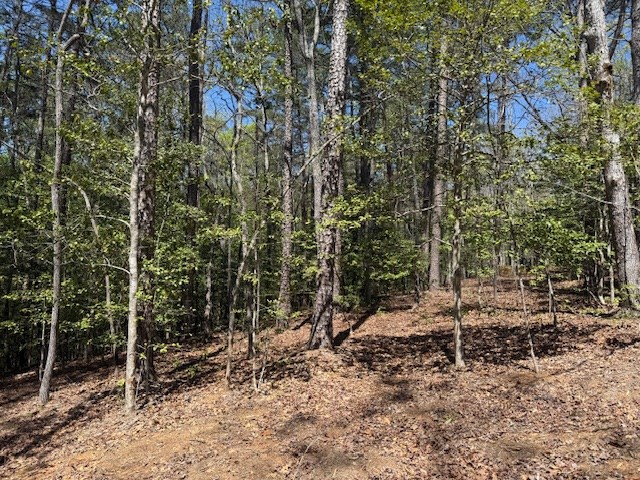 Lot 2 Lynae Lane Murphy, NC 28906 - Photo 2 of 5